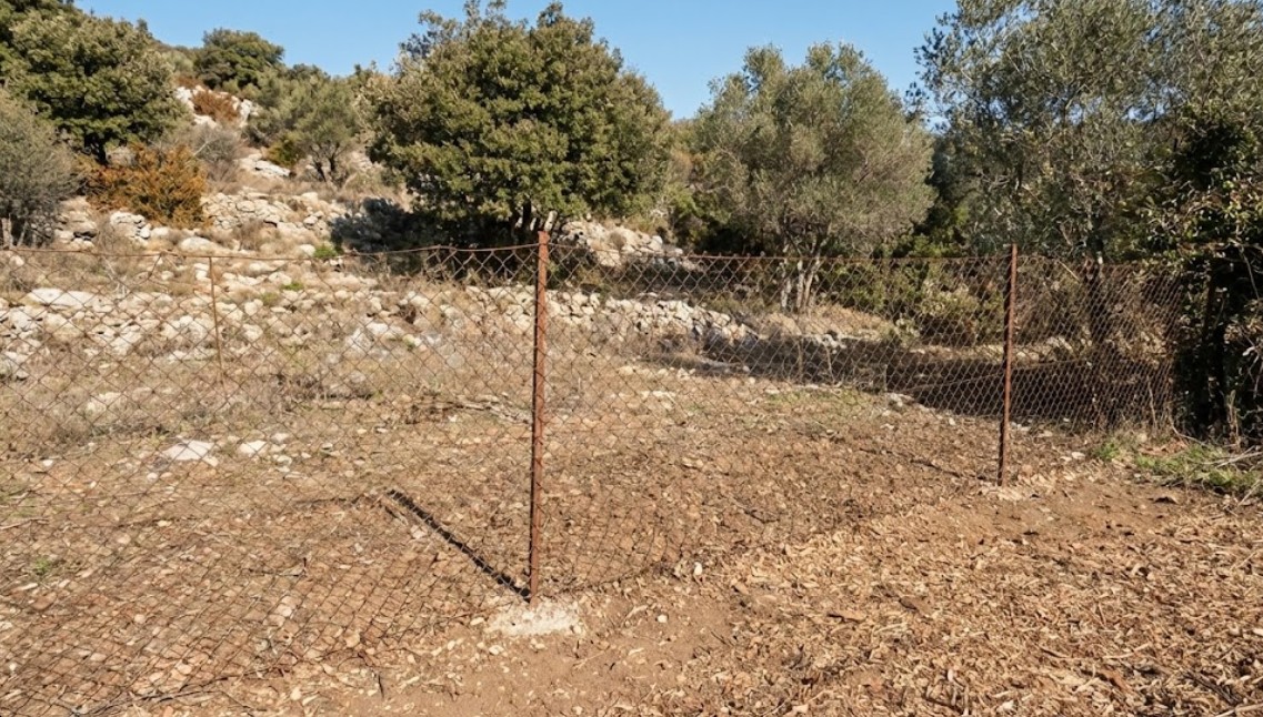 Terrain nettoyé après intervention